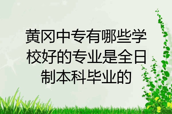 黄冈中专有哪些学校好的专业是全日制本科毕业的
