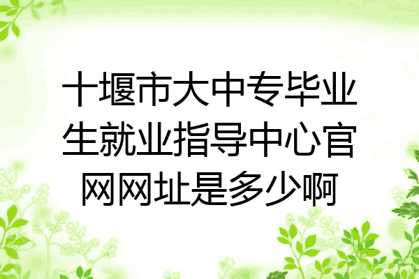 十堰市大中专毕业生就业指导中心官网网址是多少啊