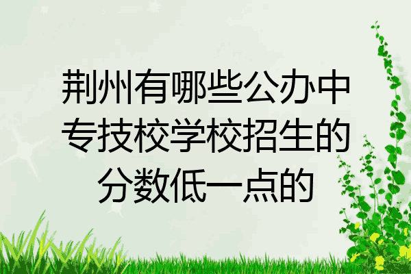 荆州有哪些公办中专技校学校招生的分数低一点的