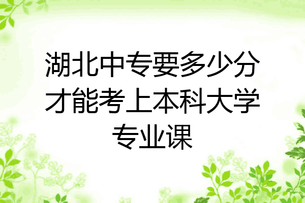湖北中专要多少分才能考上本科大学专业课