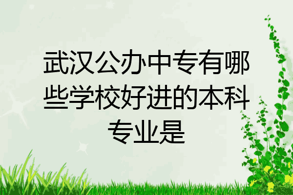 武汉公办中专有哪些学校好进的本科专业是