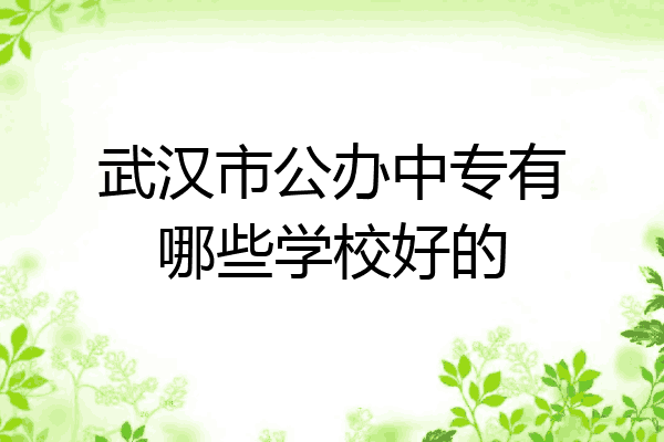武汉市公办中专有哪些学校好的