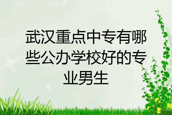 武汉重点中专有哪些公办学校好的专业男生