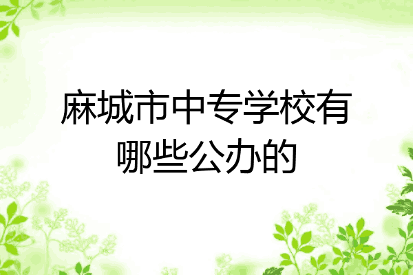 麻城市中专学校有哪些公办的