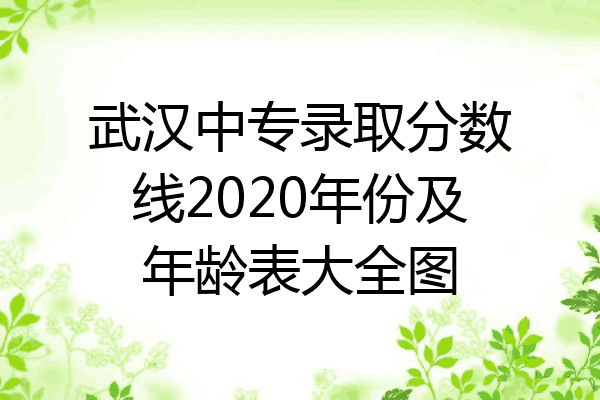 武汉中专录取分数线2020年份及年龄表大全图