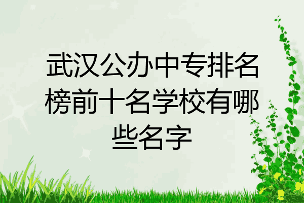 武汉公办中专排名榜前十名学校有哪些名字