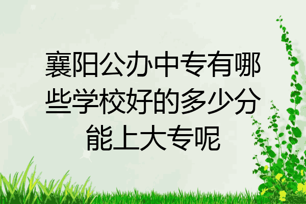 襄阳公办中专有哪些学校好的多少分能上大专呢