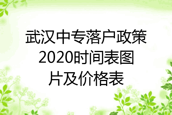 武汉中专落户政策2020时间表图片及价格表