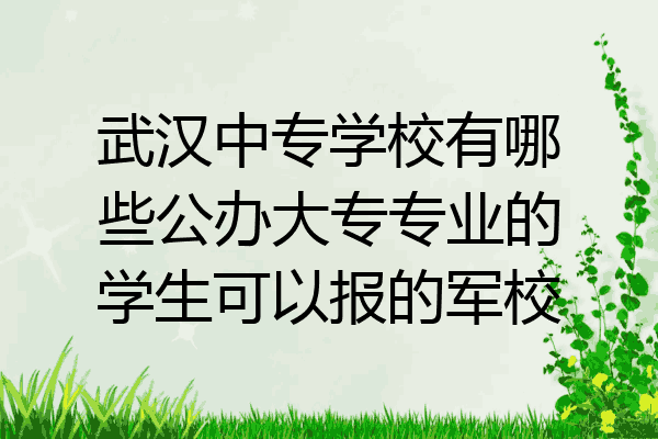 武汉中专学校有哪些公办大专专业的学生可以报的军校