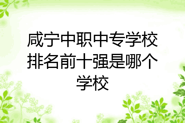 咸宁中职中专学校排名前十强是哪个学校