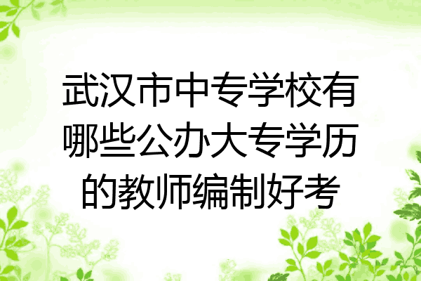 武汉市中专学校有哪些公办大专学历的教师编制好考