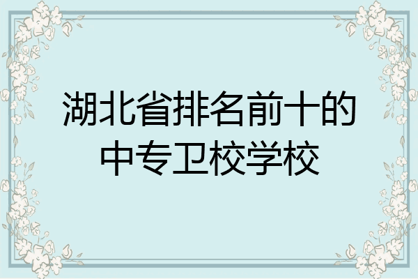 湖北省排名前十的中专卫校学校