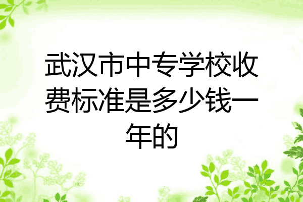武汉市中专学校收费标准是多少钱一年的