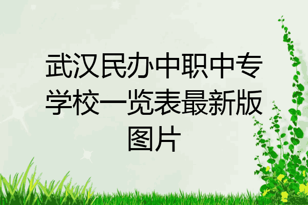 武汉民办中职中专学校一览表最新版图片