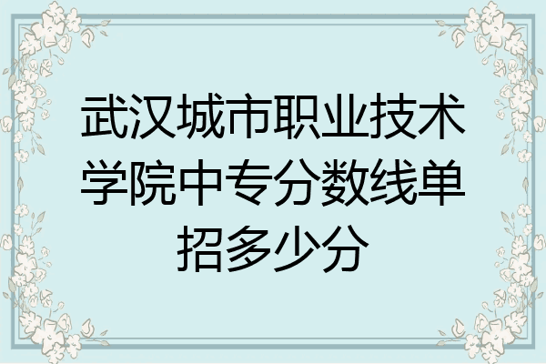 武汉城市职业技术学院中专分数线单招多少分