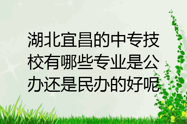 湖北宜昌的中专技校有哪些专业是公办还是民办的好呢