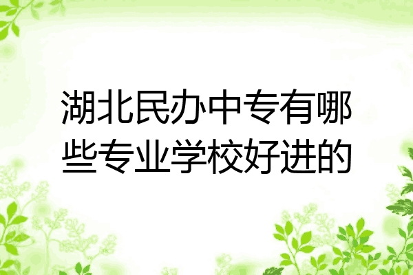 湖北民办中专有哪些专业学校好进的
