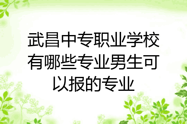 武昌中专职业学校有哪些专业男生可以报的专业