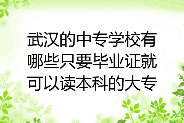 武汉的中专学校有哪些只要毕业证就可以读本科的大专