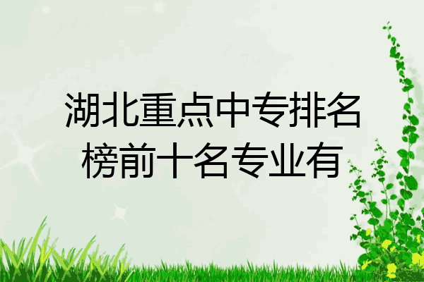 湖北重点中专排名榜前十名专业有