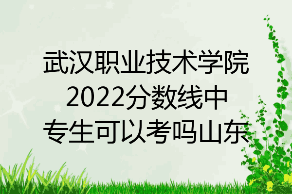 武汉职业技术学院2022分数线中专生可以考吗山东