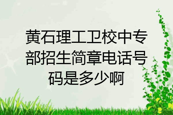 黄石理工卫校中专部招生简章电话号码是多少啊