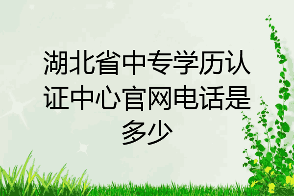 湖北省中专学历认证中心官网电话是多少