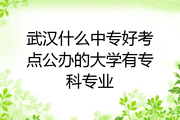 武汉什么中专好考点公办的大学有专科专业