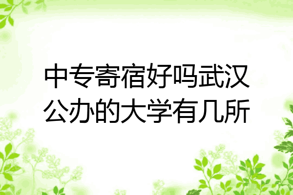 中专寄宿好吗武汉公办的大学有几所