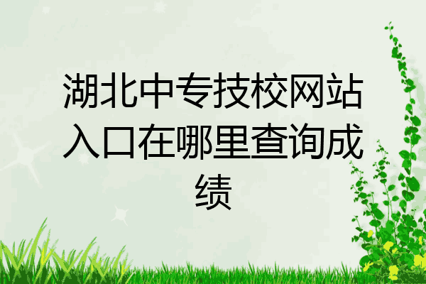 湖北中专技校网站入口在哪里查询成绩