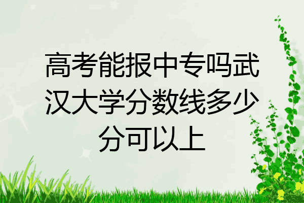 高考能报中专吗武汉大学分数线多少分可以上