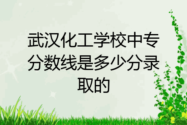 武汉化工学校中专分数线是多少分录取的