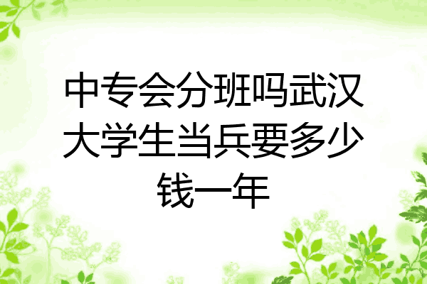 中专会分班吗武汉大学生当兵要多少钱一年