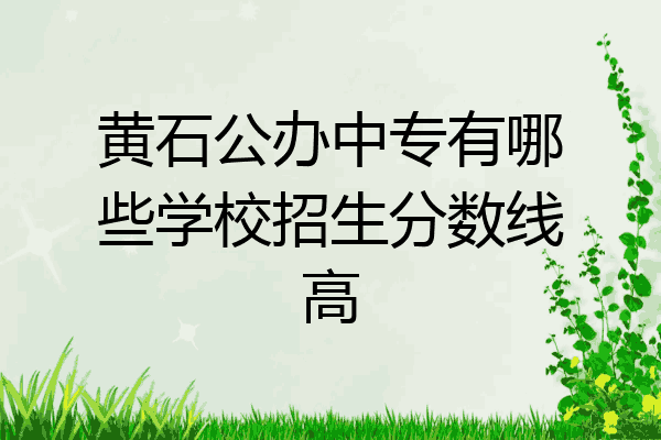 黄石公办中专有哪些学校招生分数线高
