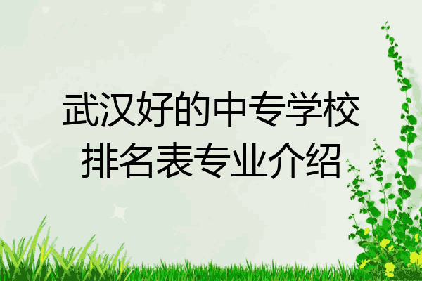 武汉好的中专学校排名表专业介绍