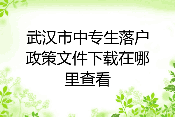 武汉市中专生落户政策文件下载在哪里查看