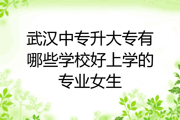 武汉中专升大专有哪些学校好上学的专业女生