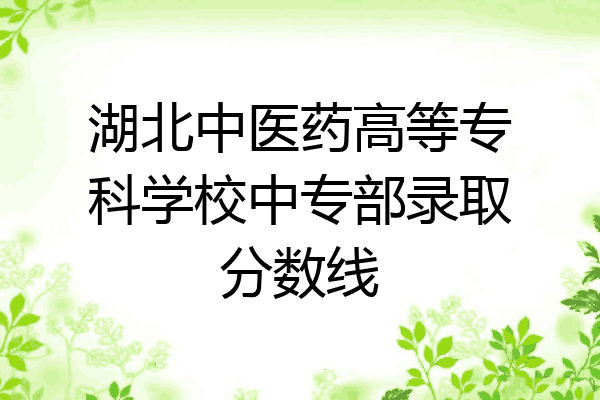 湖北中医药高等专科学校中专部录取分数线