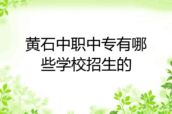 黄石中职中专有哪些学校招生的