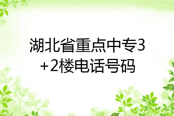 湖北省重点中专3+2楼电话号码