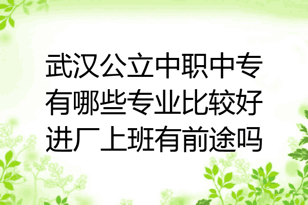 武汉公立中职中专有哪些专业比较好进厂上班有前途吗