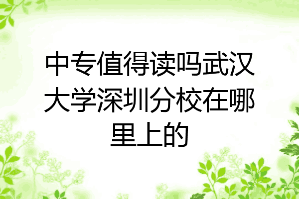 中专值得读吗武汉大学深圳分校在哪里上的
