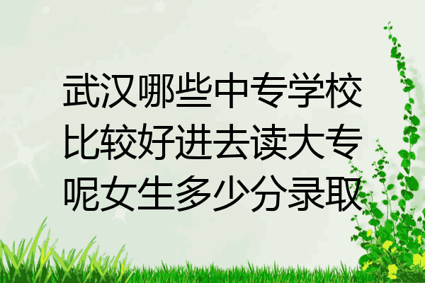 武汉哪些中专学校比较好进去读大专呢女生多少分录取