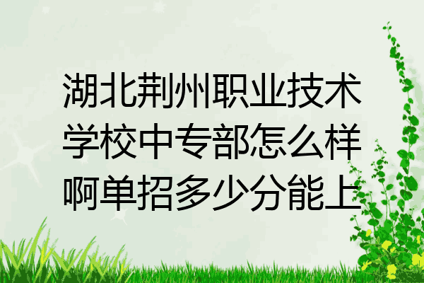 湖北荆州职业技术学校中专部怎么样啊单招多少分能上