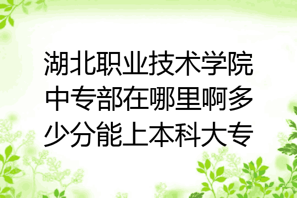 湖北职业技术学院中专部在哪里啊多少分能上本科大专