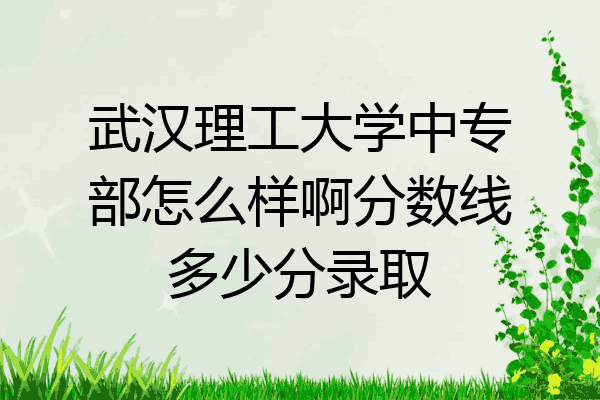 武汉理工大学中专部怎么样啊分数线多少分录取
