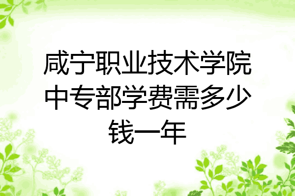 咸宁职业技术学院中专部学费需多少钱一年