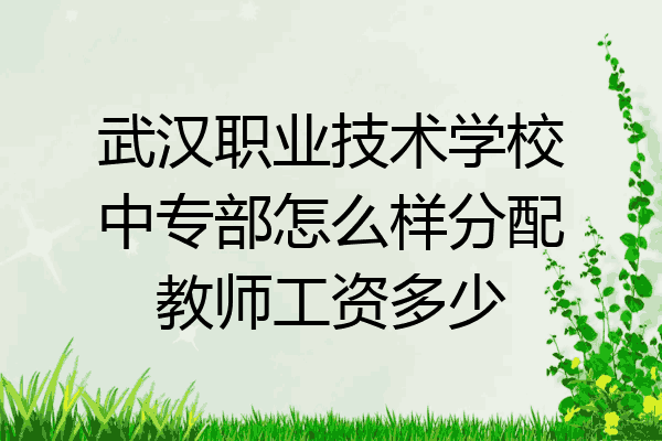 武汉职业技术学校中专部怎么样分配教师工资多少