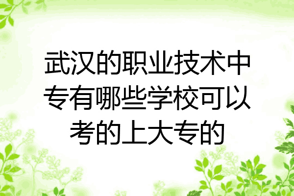 武汉的职业技术中专有哪些学校可以考的上大专的