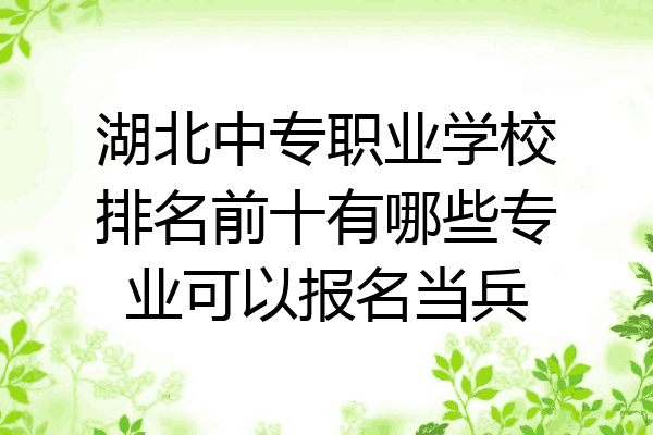 湖北中专职业学校排名前十有哪些专业可以报名当兵